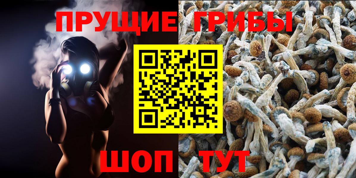 Галлюциногенные грибы ЛСД Курчатов