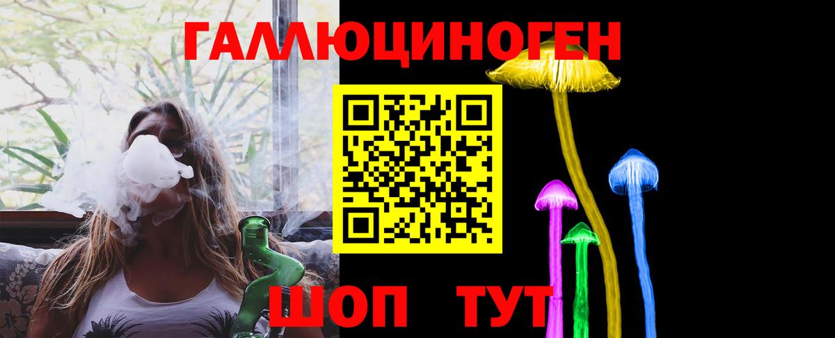 Галлюциногенные грибы GOLDEN TEACHER  Псилоцибиновые грибы прущие грибы  Курчатов  Вход с VPN 